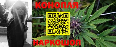 мет Дубна