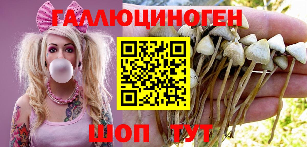 Галлюциногенные грибы Psilocybe  Псилоцибиновые грибы GOLDEN TEACHER  Нижнекамск  Вход с VPN 