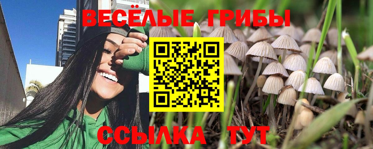 Псилоцибиновые грибы Magic Shrooms Нижнекамск